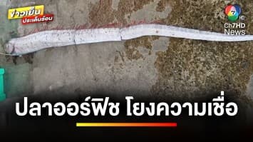 ผวา ! เจอ “ปลาออร์ฟิช” หรือ “ปลาพญานาค” โยงความเชื่อ | ข่าวเย็นประเด็นร้อน