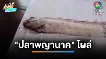 ฮือฮา ! เจอ “ปลาพญานาค” ประมงเผย ไม่เกี่ยวเหตุภัยพิบัติ จ.สตูล | เช้านี้ที่หมอชิต