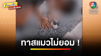 ทาสแมวไม่ยอม ! “ทหาร” แกล้งฝังดินบีบจมูก “แมว” จี้ตรวจสอบ | ข่าวเย็นประเด็นร้อน