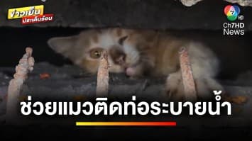 เอ็นดู ! แมวติดท่อระบายน้ำ พยายามคว้ามือคนที่มาช่วยเหลือ | ข่าวเย็นประเด็นร้อน