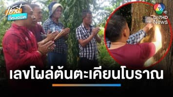 ห้ามพลาด ! ขอโชคต้นตะเคียนทองโบราณ อายุกว่า 500 ปี จ.พะเยา | เช้านี้ที่หมอชิต