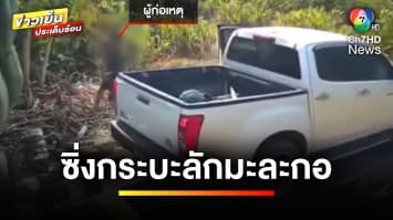 เปิดภาพ ! วัยรุ่นขับรถกระบะ แอบขโมย “มะละกอ” ริมทาง | ข่าวเย็นประเด็นร้อน