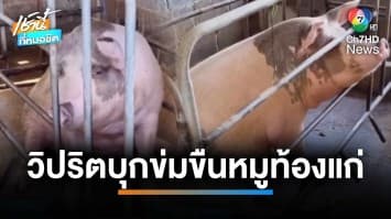 ผวา ! ชายจิตวิปริตบุกข่มขืน “หมูท้องแก่” ช่วงกลางดึก จ.บุรีรัมย์ | เช้านี้ที่หมอชิต