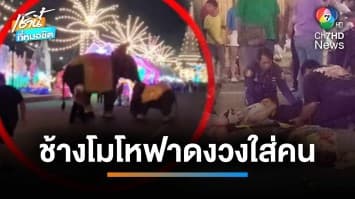 สั่งระงับโชว์ ! หลังช้างทำร้ายนักท่องเที่ยว บาดเจ็บ 4 คน คาดหงุดหงิด | เช้านี้ที่หมอชิต