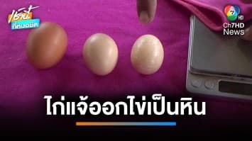 ฮือฮา ! พบไก่แจ้ออกไข่เป็นหิน เชื่อมาให้โชคช่วงให้ออกรางวัล | เช้านี้ที่หมอชิต