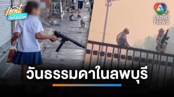 นึกว่า “สงครามพิภพวานร” ลิงถือปืนคุมพระปรางค์ จ.ลพบุรี | เช้านี้ที่หมอชิต