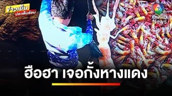 ฮือฮา ! “กั้งหางแดง” สัตว์น้ำหายาก ชาวประมงรีบช้อนขาย | ข่าวเย็นประเด็นร้อน