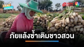 ฤดูแล้งทำเกษตรกรปลูกหัวไชเท้า ขาดทุนหนัก เหตุน้ำในคลองแห้งขอด | เช้านี้ที่หมอชิต