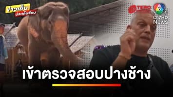 สส.ภูเก็ต-เจ้าหน้าที่ เข้าตรวจสอบปางช้าง “ฝรั่งเตะแพทย์หญิง” | ข่าวเย็นประเด็นร้อน