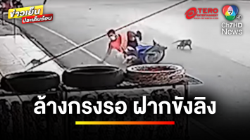 เจ้าหน้าที่ล้างกรงรอ ! ฝากขัง “ลิงก้าวร้าว” แย่งอาหารคน | ข่าวเย็นประเด็นร้อน