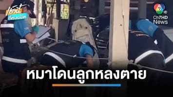 แค้นวัวลาน มือปืนบุกรัวยิงถล่มบ้าน 21 นัด หมาโดนลูกหลงตาย | เช้านี้ที่หมอชิต