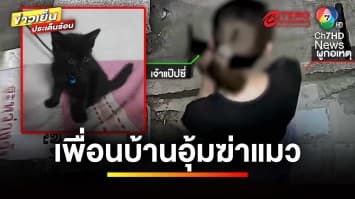 สุดเหี้ยม ! เพื่อนบ้านโหด รำคาญเสียงแมว แอบย่องจับไปฆ่า-วางยา | ข่าวเย็นประเด็นร้อน