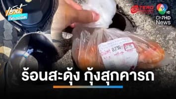 ของแท้ แดดภูเก็ตร้อนจัด หนุ่มซื้อกุ้งสด กลับถึงบ้านได้กุ้งสุก | เช้านี้ที่หมอชิต