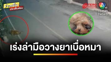 เร่งล่า ! มือวางยาเบื่อสุนัข คาดฝีมือคนในหมู่บ้าน | ข่าวเย็นประเด็นร้อน