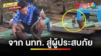 วงแตก ! สาวแชร์ประสบการณ์ งูจงอางเลื้อยขึ้นซุ้มแพเปียก | ข่าวเย็นประเด็นร้อน