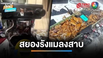 สยอง ! เปิดเครื่องชงกาแฟเจอแมลงสาบทำรังนับร้อยตัว | เช้านี้ที่หมอชิต