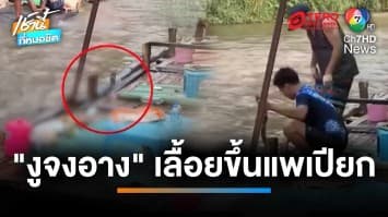 แทบช็อก ! “งูจงอาง” เลื้อยขึ้นแพเปียก ทำ นนท.วงแตกกระเจิง | เช้านี้ที่หมอชิต