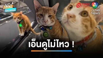 เปิดตัว “เจ้าส้มตัวตึง” นั่ง-เดินบนบันไดเลื่อนโชว์ นทท.กลางสนามบินสุวรรณภูมิ | เช้านี้ที่หมอชิต