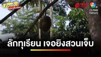 โจรแสบ ! ย่องขโมยตัดทุเรียนกลางดึก เจอยิงเจ็บคาสวน | ข่าวเย็นประเด็นร้อน