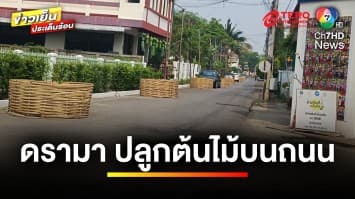 ดรามาสนั่น ! โครงการปลูกต้นไม้บนถนน เพิ่มพื้นที่สีเขียว จ.ลำพูน | ข่าวเย็นประเด็นร้อน 