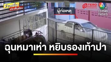 สาวหัวร้อน ! โมโหเสียงหมาเห่า หยิบรองเท้าปาใส่บ้านครู | ข่าวเย็นประเด็นร้อน 