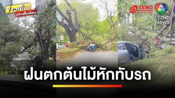 ระทึก ! ฝนถล่ม กทม. ทำต้นไม้หักโค่น ทับรถเก๋ง ย่านถนนวิทยุ | ข่าวเย็นประเด็นร้อน