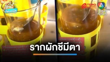 อ้วกแทบพุ่ง ! สาวปรุงก๋วยเตี๋ยวเจอจิ้งจกนอนตายคาแก้วน้ำสมสายชู | เช้านี้ที่หมอชิต 