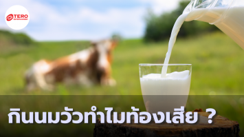 ไขปริศนา ปัญหากินนมวัวแล้วท้องเสียของคนไทย เกิดจากอะไรกันแน่ ?