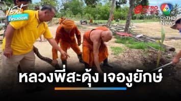 หลวงพี่สะดุ้ง ! ตัดหญ้าเจองูเหลือมยักษ์ ยาว 4 เมตร | เช้านี้ที่หมอชิต