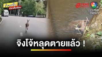 เจ้าหน้าที่ระดมหา “จิงโจ้” หลุดจากสวนสัตว์ ก่อนพบเป็นศพจมน้ำ | ข่าวเย็นประเด็นร้อน