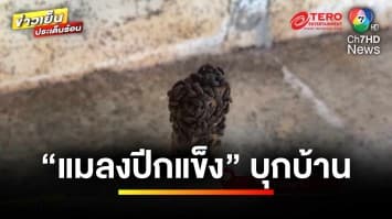 เข้าช่วยเหลือแล้ว เหตุ “แมลงปีกแข็ง” บุกบ้านหญิงป่วยติดเตียง | ข่าวเย็นประเด็นร้อน