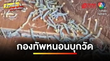 ขนลุก ! กองทัพหนอนนับล้านบุกวัด พระหวั่นเดือดร้อน งดออกบิณฑบาตชั่วคราว | ข่าวเย็นประเด็นร้อน