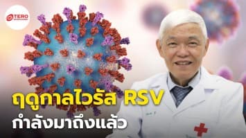 “หมอยง” เตือนฤดูกาลไวรัส RSV ระบาด ใกล้มาถึงแล้ว แนะเตรียมป้องกัน