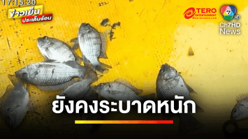 ระบาดหนัก ! “ปลาหมอคางดำ” แนะใช้ “ไซยาไนด์” กำจัด ภายใต้การควบคุม | ข่าวเย็นประเด็นร้อน