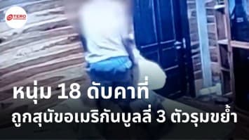 สุดสลด ! หนุ่ม 18 ดับคาที่ ถูกสุนัขอเมริกันบูลลี่ 3 ตัวรุมขย้ำ