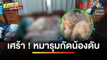 สลด “อเมริกันบุลลี” รุมกัดน้อง เสียชีวิตคาบ้าน พี่ชายผิดหรือไม่ ? | บุญชงสงตอบ