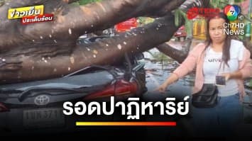 พายุถล่ม ! ต้นไม้ 100 ปีโค่นทับเก๋งพังยับ เจ้าของรอดหวุดหวิด | ข่าวเย็นประเด็นร้อน