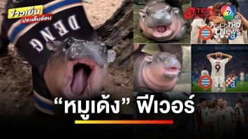 “หมูเด้ง” ฟีเวอร์ รันทุกวงการ ทีมกีฬาแห่ตัดต่อรูป | ข่าวเย็นประเด็นร้อน