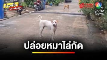 สาวร้อง ! เพื่อนบ้าน ชอบปล่อยสุนัขไล่กัด อ้างถ้ากลัวก็อย่าผ่าน | ข่าวเย็นประเด็นร้อน