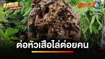 ผวาทั้งหมู่บ้าน ! ถูกต่อหัวเสือไล่ต่อย ยาย 84 ปี สละบ้านวิ่งหนีตาย | ข่าวเย็นประเด็นร้อน