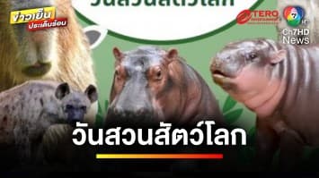 คึกคัก ! แห่ชมหมูเด้ง “วันสวนสัตว์โลก” เข้าฟรี 7 แห่ง ทั่วไทย | ข่าวเย็นประเด็นร้อน