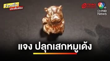 ดรามา “หมูเด้งกวักทรัพย์” องค์การสวนสัตว์ฯ โต้ ! ไม่เห็นด้วย | ข่าวเย็นประเด็นร้อน