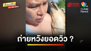 เจ้าของสุนัขแจง ! ปมดรามาถ่ายคลิปสุนัขถูกรถชน หวังยอดวิว | ข่าวเย็นประเด็นร้อน