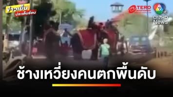 รอหลักฐานชัด ! เหตุช้างเหวี่ยงคนตกพื้น เสียชีวิต | ข่าวเย็นประเด็นร้อน