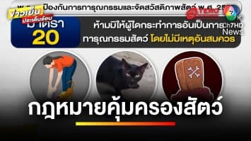 ส่องกฎหมายคุ้มครองสัตว์ ปมวางยาสลบแมวดำ ประกอบฉากในซีรีส์ | บุญชงสงตอบ