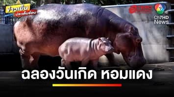 ฉลองวันเกิด “น้องหอมแดง” ลูกฮิปโปขวัญใจชาวศรีสะเกษ | ข่าวเย็นประเด็นร้อน