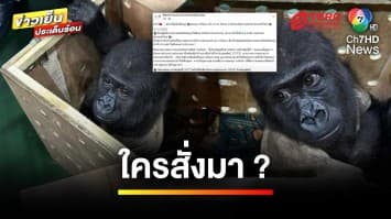 ยึด “ลูกกอริลลา” คาสนามบินอิสตันบูล พบปลายทางประเทศไทย | ข่าวเย็นประเด็นร้อน