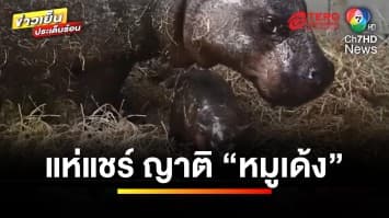 แห่แชร์ ! ลูกฮิปโปแคระเกิดใหม่ สวนสัตว์เมโทรริชมอนด์ ญาติ “หมูเด้ง” | ข่าวเย็นประเด็นร้อน