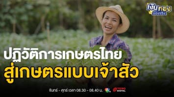  เปิดสูตรลับ! เกษตรกรเศรษฐี คำนวณต้นทุน-กำไร ปังทุกฤดู | เงินทองของจริง