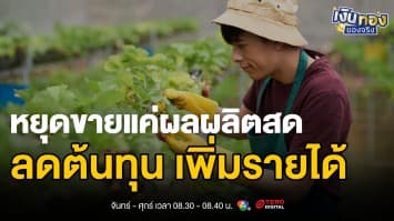 ลดต้นทุน เพิ่มรายได้: เคล็ดลับการเพิ่มมูลค่าสินค้าเกษตรแบบไม่ต้องแปรรูป  | เงินทองของจริง